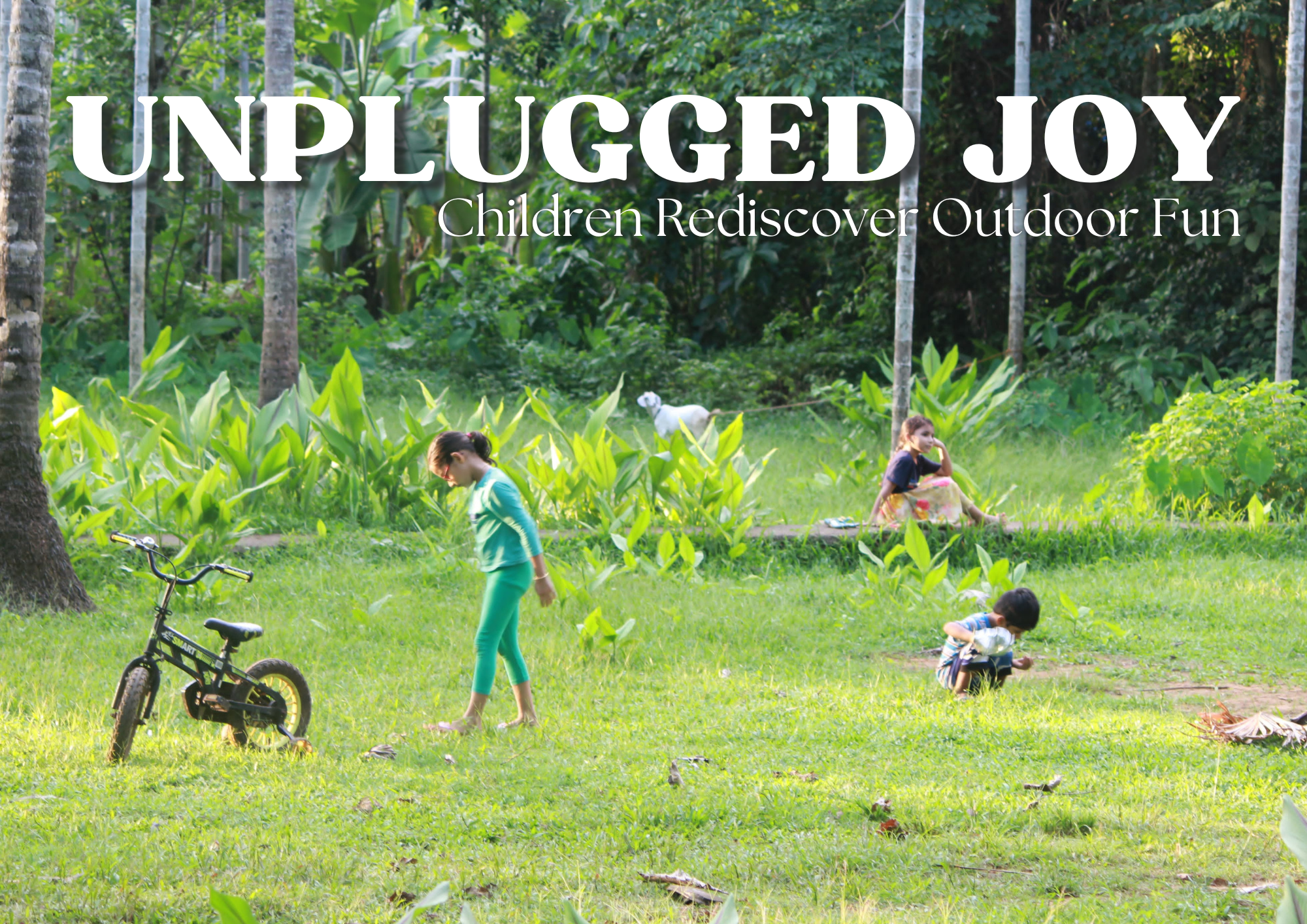 Photo feature, unplugged joy