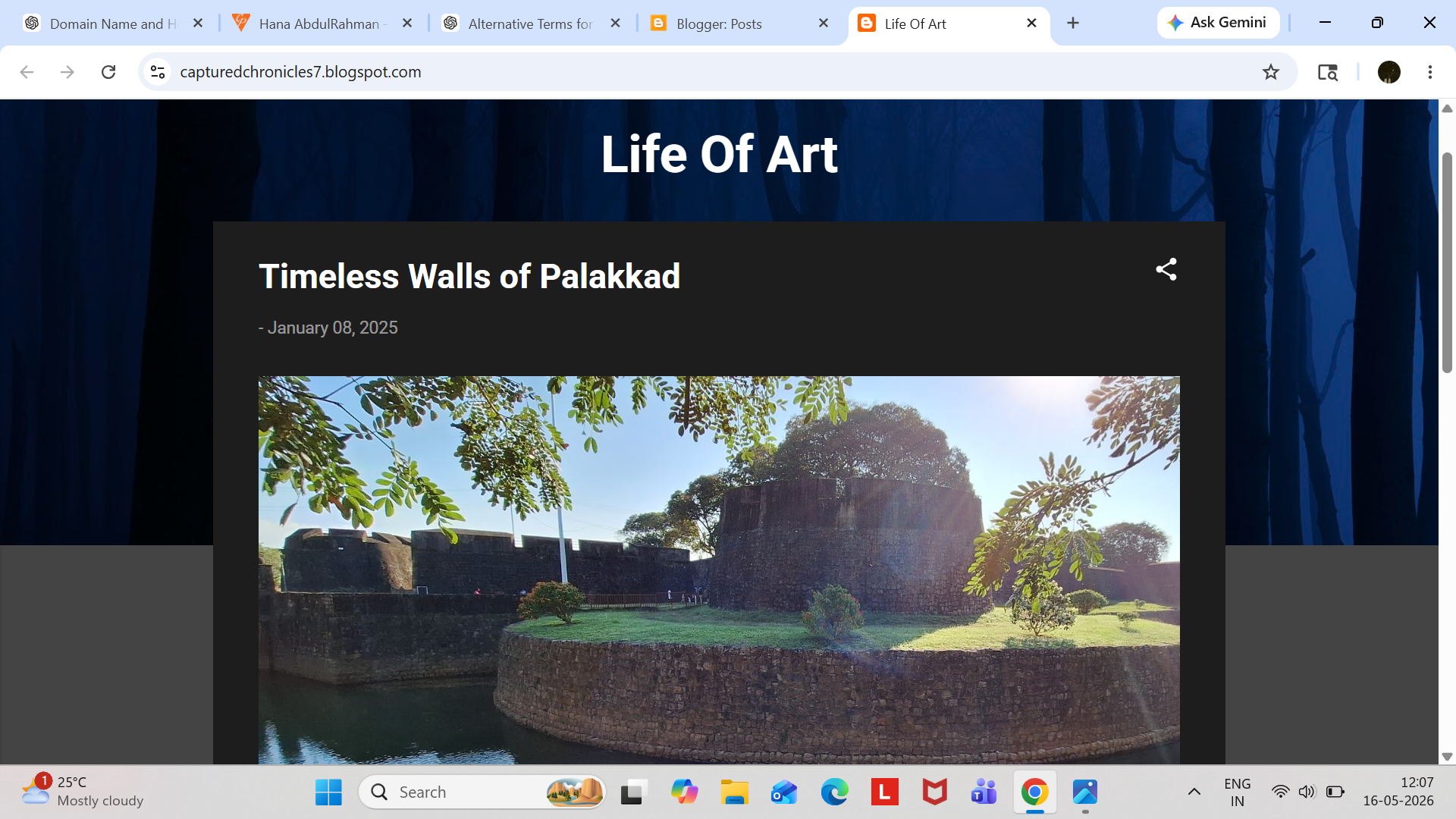 palace blog